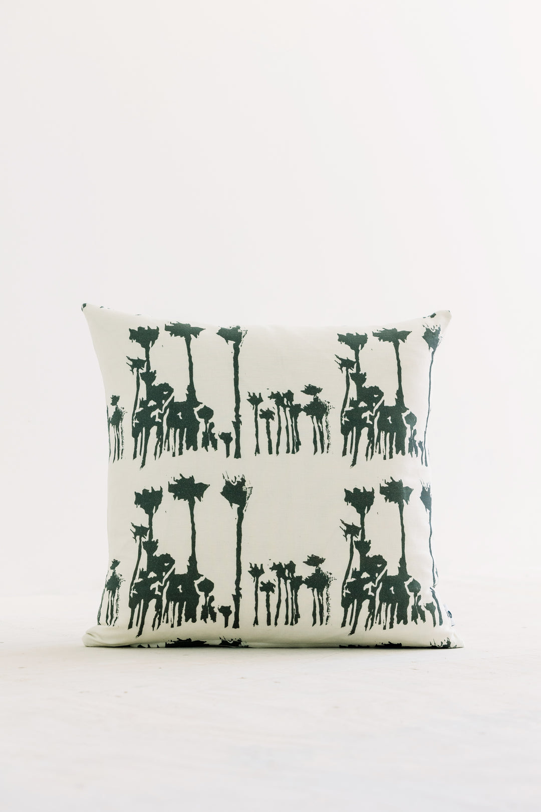 Avenida in Tabula Rasa 20" x 20" Pillow