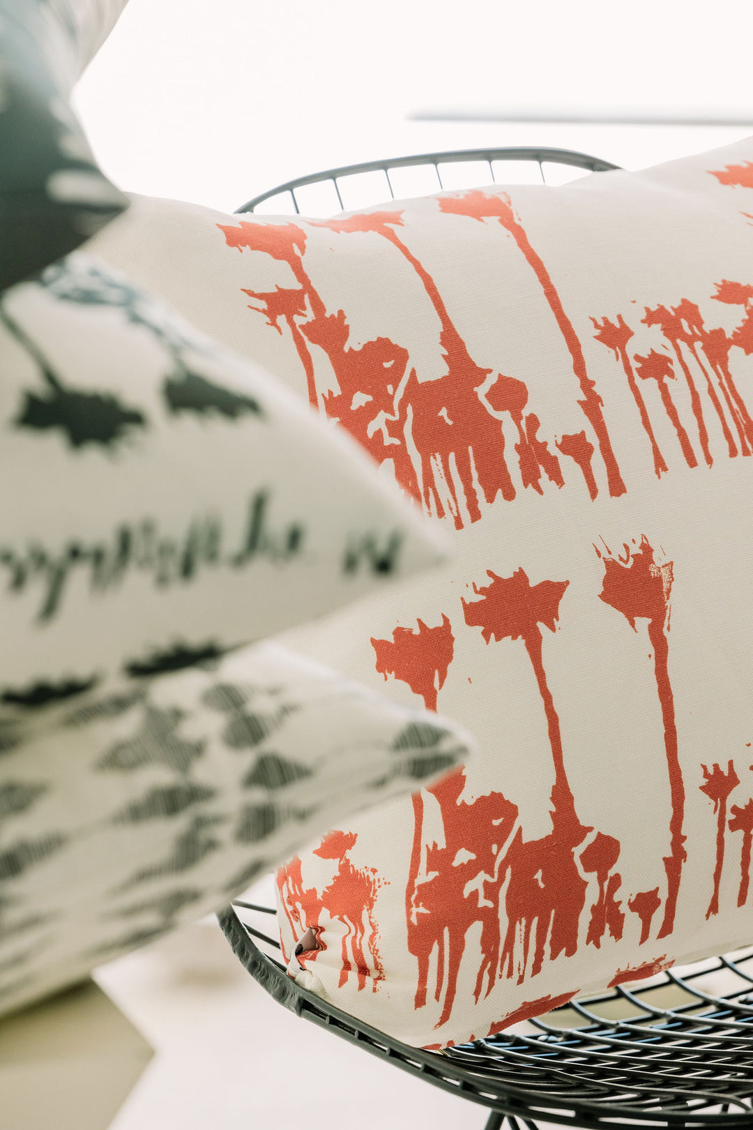 Avenida in Canyonlands 20" x 20" Pillow - at300nelson