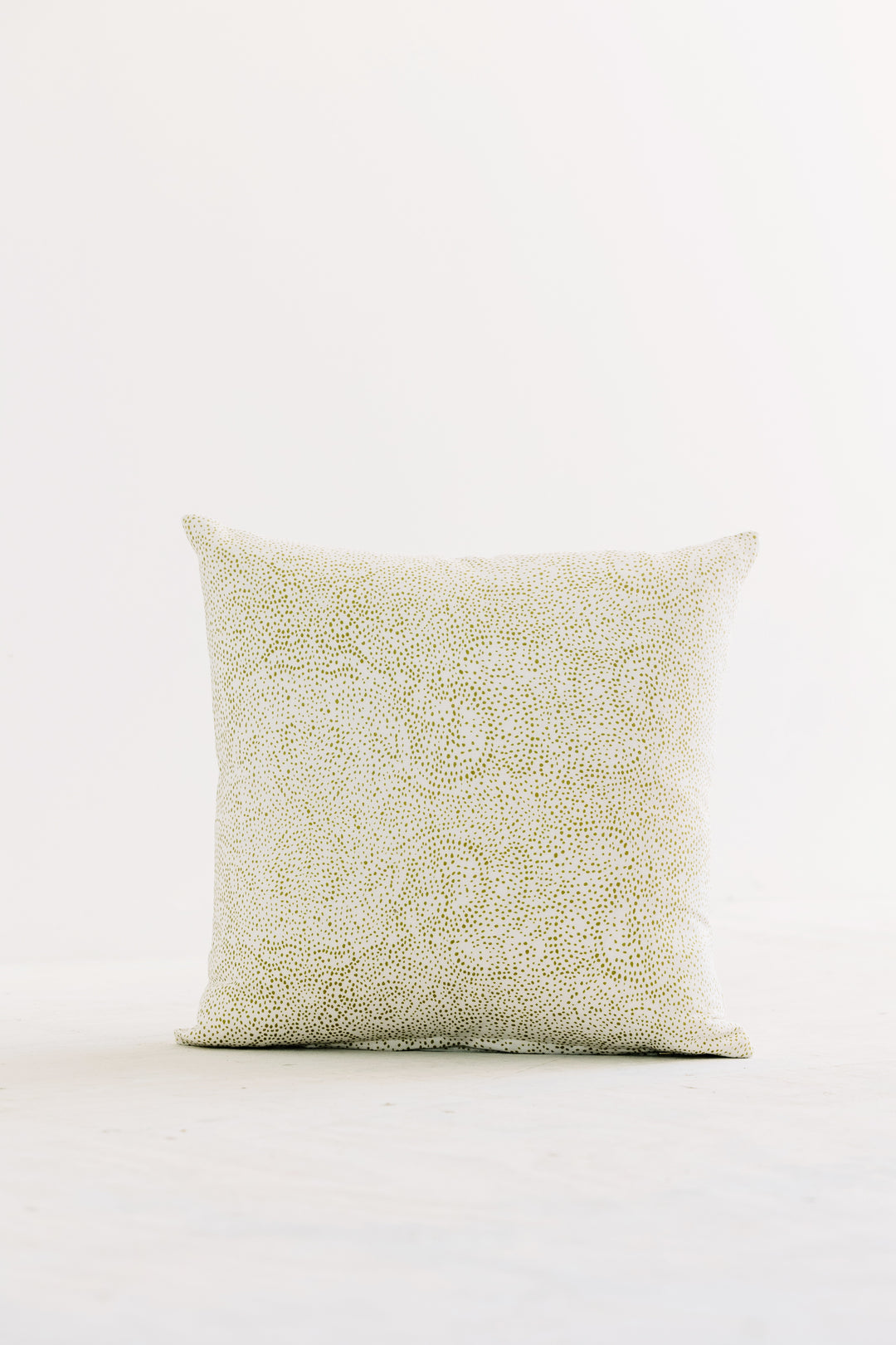 Palizada in Halcyon 18" x 18" Pillow